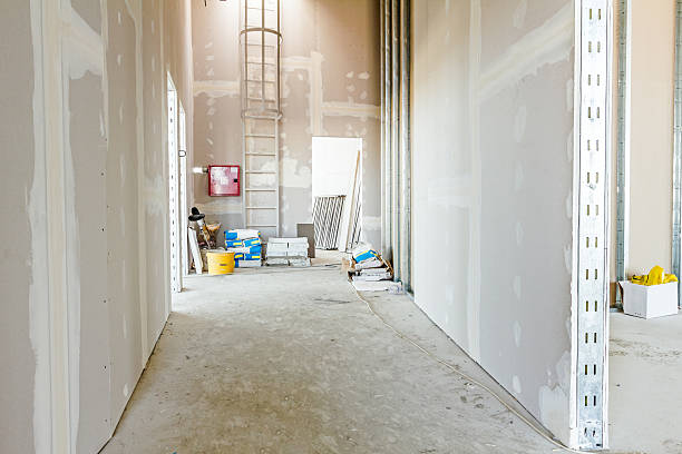 Biohazard Mold Removal in Corpus Christi, TX