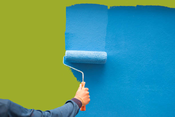 Reliable Corpus Christi, TX Mold Removal Solutions
